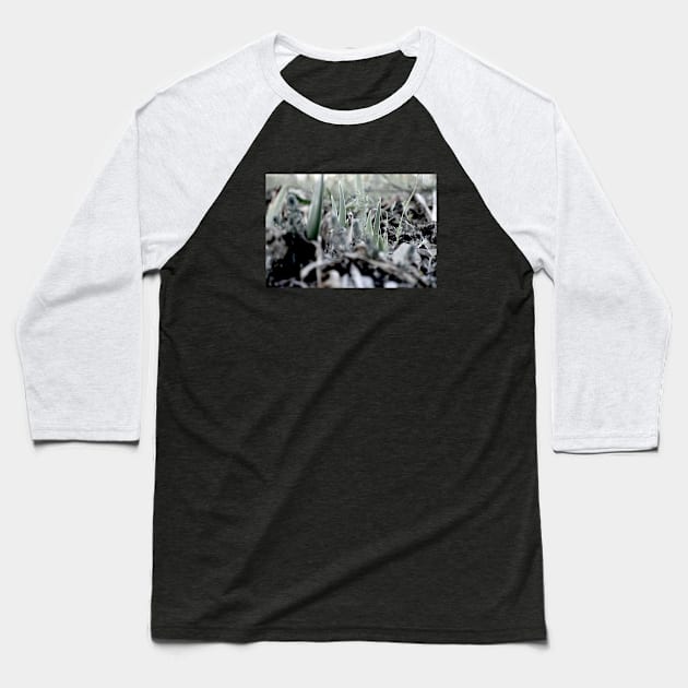 Kaleidoscope Diary New Seeds Baseball T-Shirt by Kaleidoscope Therapy